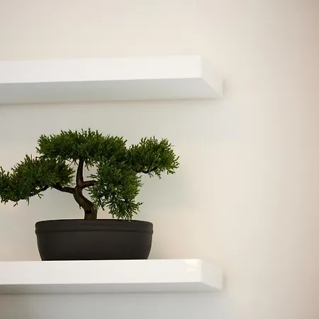 Διαμέρισμα Rikard *