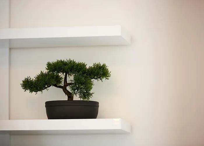 Apartamento Rikard *